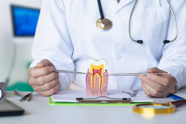 Best Emergency Denture Repair in Marlin, TX